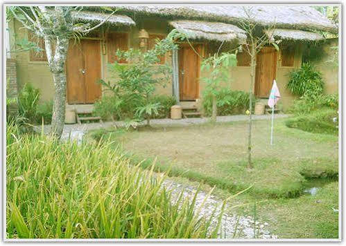 Baleku Homestay Trawangan Gili Trawangan Exterior foto